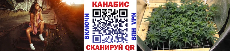 Где продают наркотики Кыштым ГАШИШ  Конопля  APVP  Амфетамин  Мефедрон 