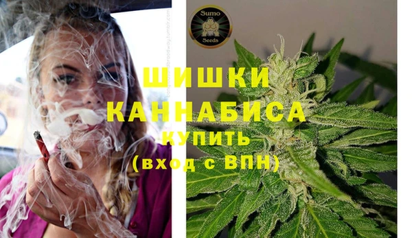 дживик Вязьма