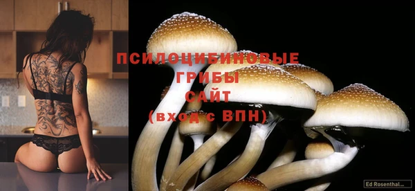 кокс Вязники
