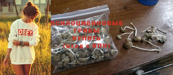 кокаин Вяземский