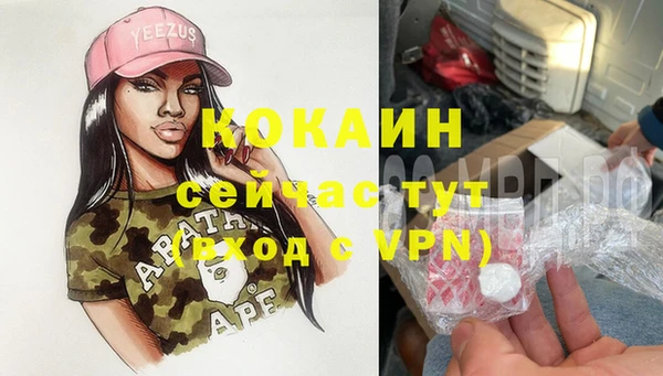 дживик Вязьма