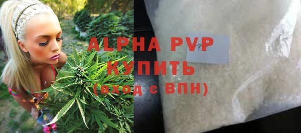 дживик Вязьма