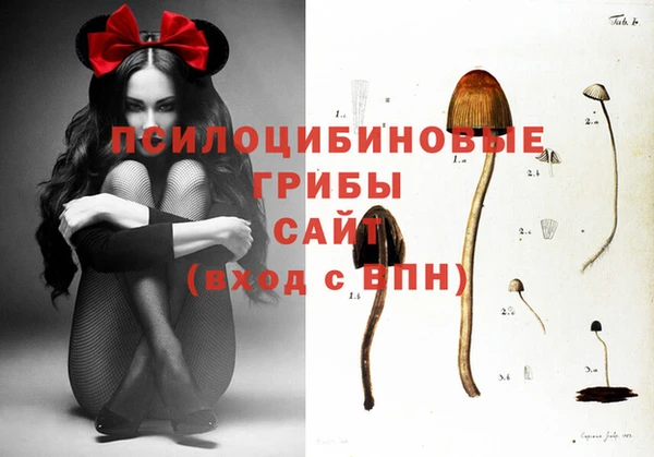кокс Вязники